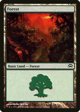 Floresta / Forest - Magic: The Gathering - MoxLand